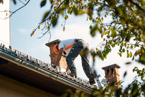 Professional Roofing Services in Metlakatla, AK